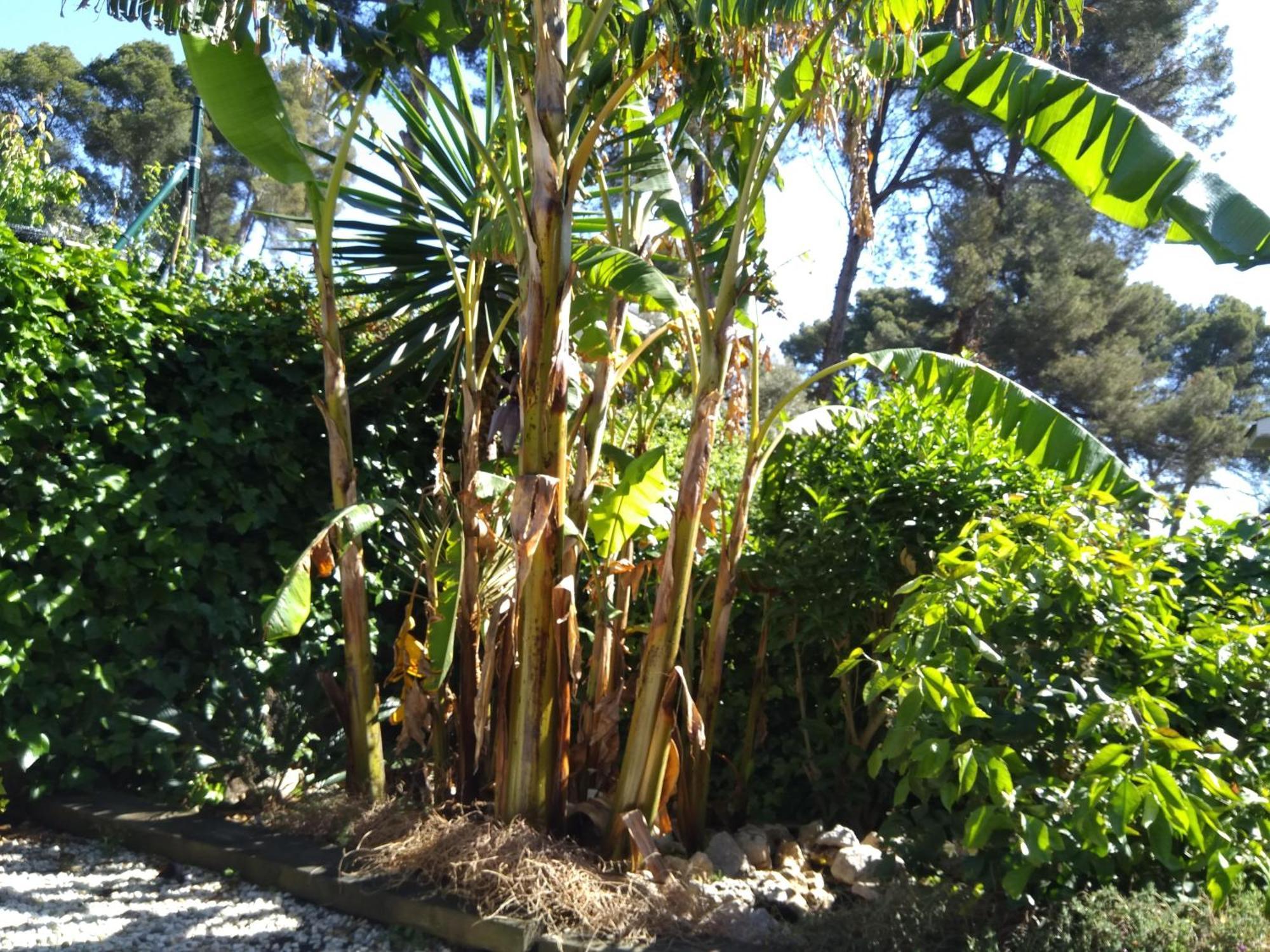 Villa Del Bosque Castelldefels Eksteriør bilde